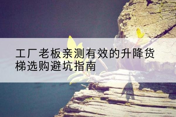 竹溪升降货梯怎么选-工厂老板亲测有效的升降货梯选购避坑指南