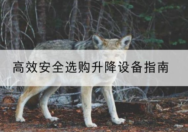 竹溪升降货梯厂家推荐-*安全选购升降设备指南