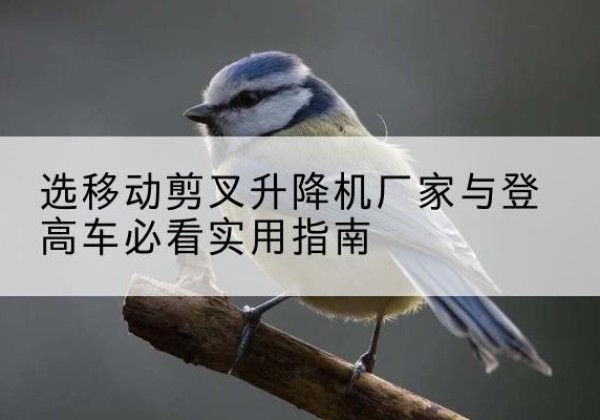 竹溪电动升降机厂家-选移动剪叉升降机厂家与登高车必看实用指南